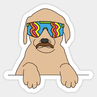 Dog with a moustache wearing 80's skiing sunglasses Sticker